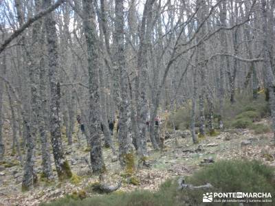  Pico Rocigalgo - Cascada del Chorro [Parque Nacional de Cabañeros] sin guias senderismo sierra de 